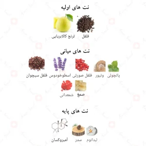 ادکلن_ساو_فرگرانس_ورد_Suave_Fragrance_World
