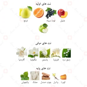 ادکلن_سنشوال_فرگرانس_ورد_Sensual_Fragrance_World