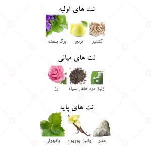ادکلن_سوتس_فرگرانس_ورد_Suits_Fragrance_World