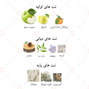 ادکلن_فراگرنس_ورد_اتر_Aether_Fragrance_World