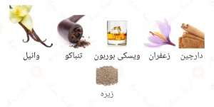 ادکلن_فراگرنس_ورد_نوک_۲٫۰_Nuke_2_0_Fragrance_World