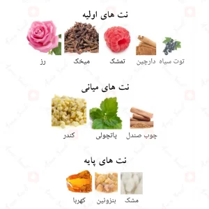 ادکلن_فرنچ_پورتریت_Fragrance_World_French_Portrait