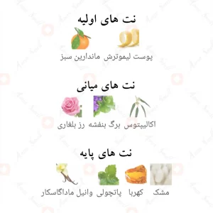 ادکلن_لا_بروتا_فرگرانس_ورد_La_Bruta_Fragrance_World