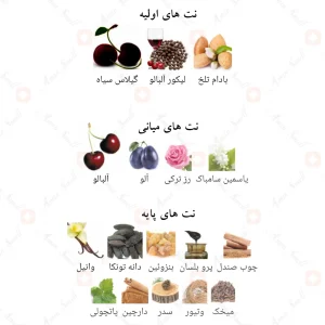 ادکلن_لاش_چری_فرگرانس_ورد_Lush_Cherry_Fragrance_World