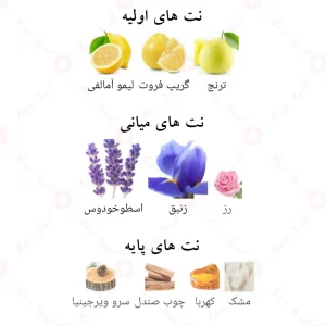 ادکلن_مافستو_Casamorando_Mafesto_Fragrance_World