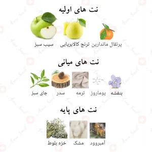 ادکلن_میدوری_فرگرانس_ورد_Midori_Fragrance_World