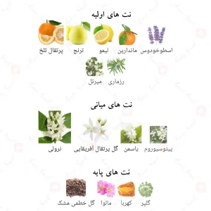 ادکلن_نرولی_ریویرا_Neroli_Riviera_Fragrance_World