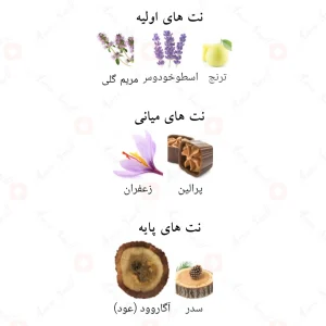 ادکلن_هارت_نل_فرگرانس_ورد_Hartnell_Fragrance_World