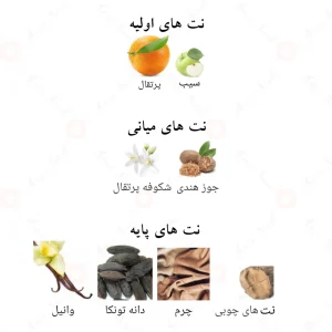 ادکلن_هارمونی_کد_ابسولوت_Harmony_Code_Absolute