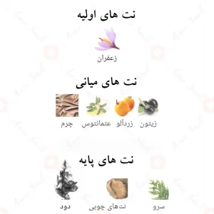 ادکلن_چری_اینسنس_Cherry_Incense_Fragrance_World