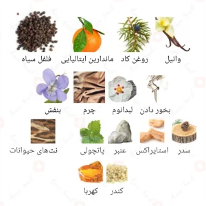 ادکلن_کورو_پورا_فرگرانس_ورد_Cuero_Pura_Fragrance_World