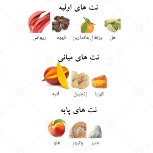 ادکلن_کینگ_فرگرانس_ورد_King_Fragrance_World