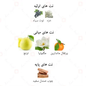 ادکلن_گلاریس_عود_رویال_بلنک_Glorious_Oud_Royal_Blanc_