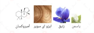 اسنتریک مولکول 02 Escentric Molecule 02
