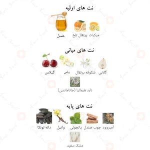 _اسکندانت_بای_نایت_Scandant_By_Night_Fragrance_World