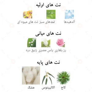 اکسنت اورپاور Fragrance World Accent Overpower
