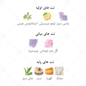 اکلت لا ویولت Eclat La Violette Fragrance World