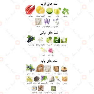 _ایمپریوم_اینتنس_Imperium_Intense_Fragrance_World
