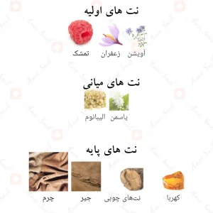 _براون_لدر_فرگرانس_ورد_Brown_Leather_Fragrance_World