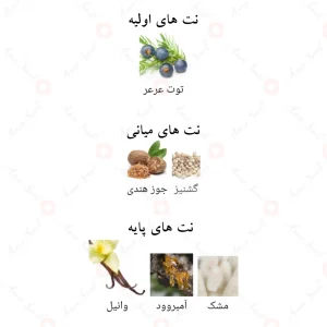 برکات_جنتل_گلد_Barakkat_Gentle_Gold_Fragrance_World