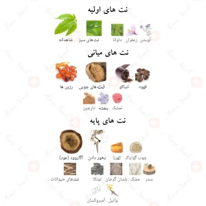 _بلک_افغانو_فرگرانس_ورد_Black_Afgano_Fragrance_World