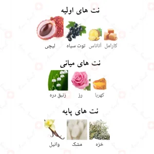 _جاست_لیتشی_فرگرانس_ورد_Just_Lychee_Fragrance_World