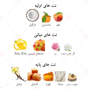 _جاست_وردی_فرگرانس_ورد_Just_Wardi_Fragrance_World