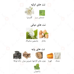 جاسمین_نویر_فرگرانس_ورد_Jasmin_Noir_Fragrance_World