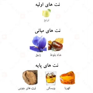 جنیون_من_جیوانی_ریزرو_Genuine_Man_Giovany_Reserve_