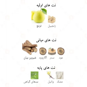_جوینس_عود_اینترو_Fragrance_World_Joyness_Oud_Intro