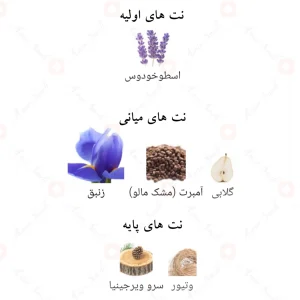 د هوم اینتنس D’hommes Intense Fragrance World