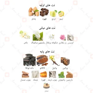 _دیوا_گلمرس_گرل_Diva_Glamorous_Girl_Fragrance_World5