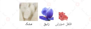 ردریگز_پور_هوم_Redriguez_Pour_Homme_Fragrance_World