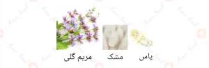 رز_سداکشن_سکرت_تمپتیشن_Rose_Seduction_Secret_Temptation