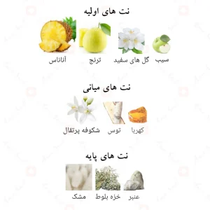 سوپرماسی_کالکتورز_ادیشن_Collector’s_Edition_Afnan