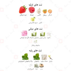 سویت_مون_ادیشن_Sweet_Moon_Mon_Edition_Fragrance_World
