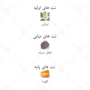 عطر_آمبر_اند_نرولی_Fragrance_world_Amber_&_neroli