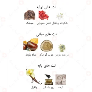 عطر_ادکلن_فراگرنس_ورد_آس_Ace_Fragrance_World