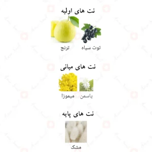 عطر_باراکات_آکوا_استلار_Barakkat_Aqua_Stellar_