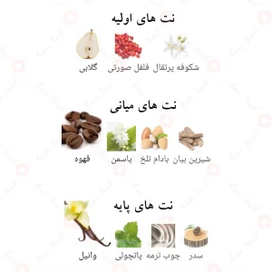 عطر_دمور_لوکس_فرگرانس_ورد_Demure_Luxe_Fragrance_World