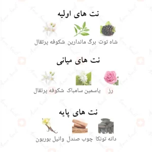 عطر_دیور_ادیکتو_نویر_Fragrance_World_Adicto_Noir