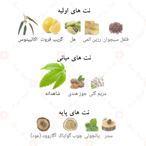 عطر_پوش_میراژ_فرگرانس_ورد_Posh_Mirage_Fragrance_World