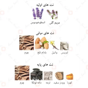 _فابولوس_لایف_فرگرانس_ورد_Fabulous_Life_Fragrance_World