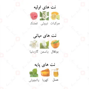 فراگرنس_ورد_فرندلی_لیدی_Fragrance_World_Friendly_Lady