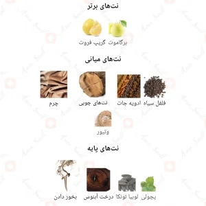 لئو_د_ریویر_ادیشن_د_نویت_L’Eau_D’Rivere_Edition_D’Nuit