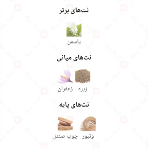 لیدی_مگنفیک_فرگرنس_ورد_Lady_Magnifique_Fragrance_World