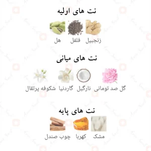 ورسوس_کریستال_نویر_Versus_Crystal_Noir_Fragrance_World