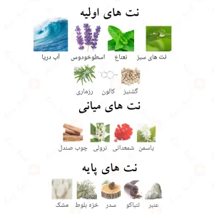 _کانویکشن_پور_هوم_Conviction_Pour_Homme_Fragrance_World