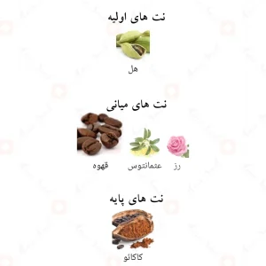 کپی_لواک_کافی_کالکشن_Kopi_Luwak_Coffee_Collection