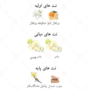 یو آر وی اینتنس Ur Way intense Fragrance World